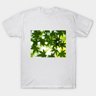 Photography - Spring leaves T-Shirt